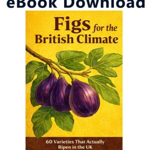 eBook: Figs for the British Climate