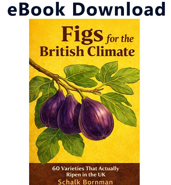 eBook: Figs for the British Climate