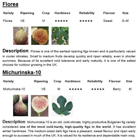 eBook: Figs for the British Climate - Image 2