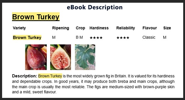 Brown Turkey Fig Tree - Image 3